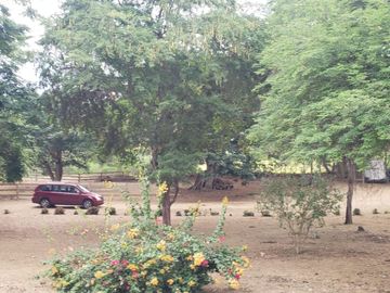 Se vende finca en vía a la costa-Chongón