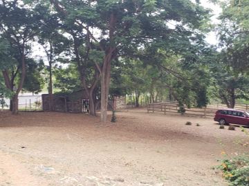 Se vende finca en vía a la costa-Chongón