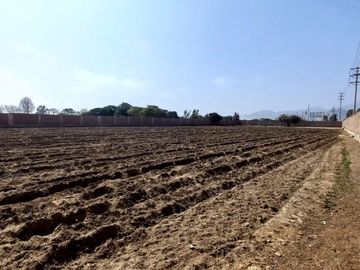 VENDO TERRENO EN MALA – CAÑETE - KM 92.5 ANTIGUA CARRETERA PANAMERICANA SUR