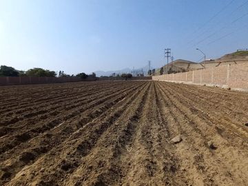 VENDO TERRENO EN MALA – CAÑETE - KM 92.5 ANTIGUA CARRETERA PANAMERICANA SUR