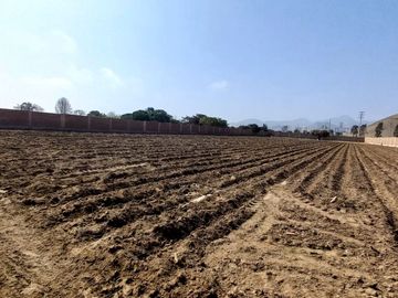 VENDO TERRENO EN MALA – CAÑETE - KM 92.5 ANTIGUA CARRETERA PANAMERICANA SUR