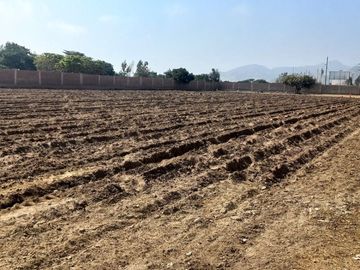 VENDO TERRENO EN MALA – CAÑETE - KM 92.5 ANTIGUA CARRETERA PANAMERICANA SUR