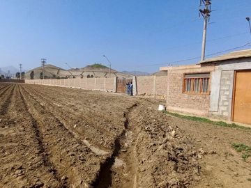 VENDO TERRENO EN MALA – CAÑETE - KM 92.5 ANTIGUA CARRETERA PANAMERICANA SUR