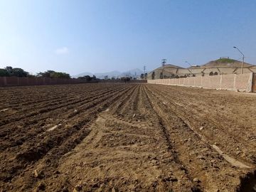 VENDO TERRENO EN MALA – CAÑETE - KM 92.5 ANTIGUA CARRETERA PANAMERICANA SUR