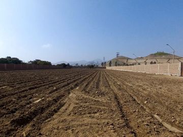 VENDO TERRENO EN MALA – CAÑETE - KM 92.5 ANTIGUA CARRETERA PANAMERICANA SUR