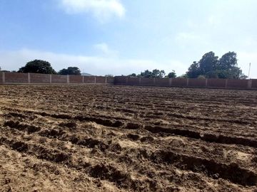 VENDO TERRENO EN MALA – CAÑETE - KM 92.5 ANTIGUA CARRETERA PANAMERICANA SUR