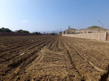 VENDO TERRENO EN MALA – CAÑETE - KM 92.5 ANTIGUA CARRETERA PANAMERICANA SUR