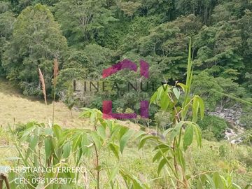 Propiedad en venta a una hora de Ibarra, JUNTO GUANABANA REPUBLIC