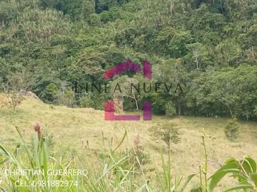 Propiedad en venta a una hora de Ibarra, JUNTO GUANABANA REPUBLIC