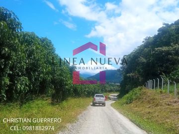 Propiedad en venta a una hora de Ibarra, JUNTO GUANABANA REPUBLIC