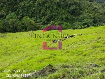 Propiedad en venta a una hora de Ibarra, JUNTO GUANABANA REPUBLIC