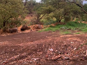 terreno en venta fracc las cañadas