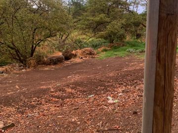 terreno en venta fracc las cañadas