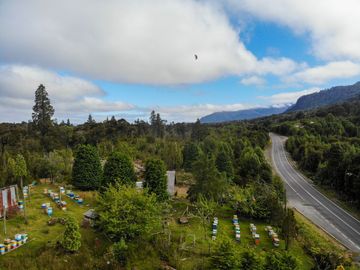 Campo de 150 hectáreas - Hualaihué - Región de Los Lagos