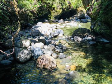 Campo de 150 hectáreas - Hualaihué - Región de Los Lagos