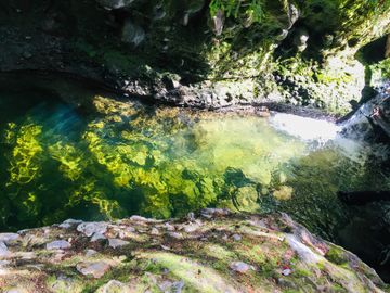 Campo de 150 hectáreas - Hualaihué - Región de Los Lagos
