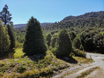 Campo de 150 hectáreas - Hualaihué - Región de Los Lagos