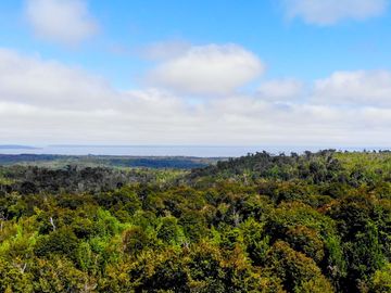 Campo de 150 hectáreas - Hualaihué - Región de Los Lagos