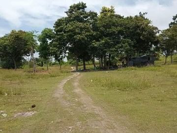 PROPERTY FOR SALE 3-bedroom single detached house and lot in Tierra Alta San Fernando