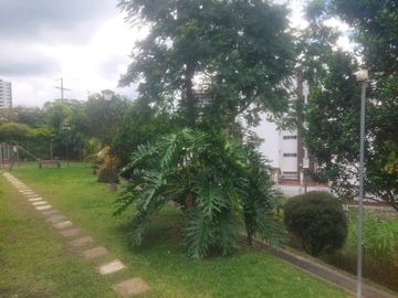 Casa parala venta. Avenida 19. Armenia Q.