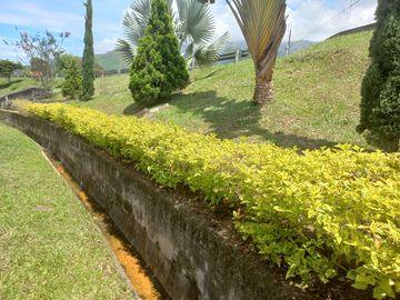 VENDO CASA FINCA BARATA POR SER CON COMPRAVENTA EN BARBOSA ANTIOQUIA.