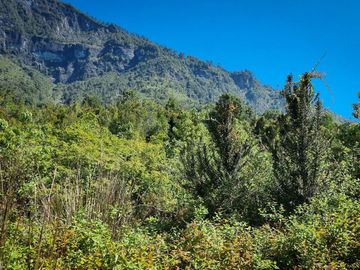 En Ranco, Región de los Ríos Linda Parcela de 2,5 ha con vista al Lago Ranco y colindante con Parque Futangue