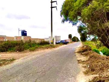 VENDO TERRENO AGRICOLA, 2 HAS (20,000 hectáreas) SAN VICENTE DE CAÑETE