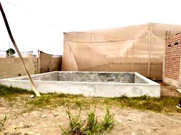 VENDO TERRENO AGRICOLA, 2 HAS (20,000 hectáreas) SAN VICENTE DE CAÑETE
