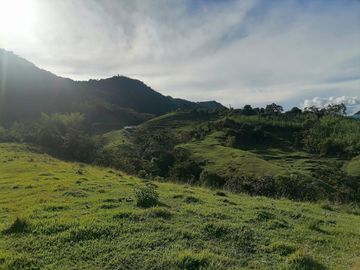 Venta Finca Ganadera Cocorná Antioquia
