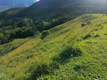 Venta Finca Ganadera Cocorná Antioquia