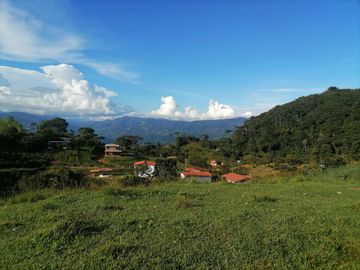 Venta Finca Ganadera Cocorná Antioquia