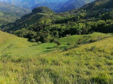 Venta Finca Ganadera Cocorná Antioquia