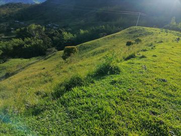 Venta Finca Ganadera Cocorná Antioquia