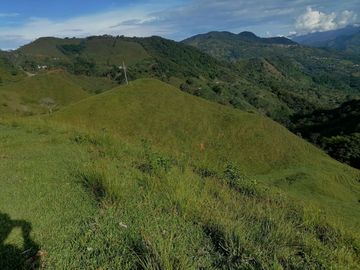 Venta Finca Ganadera Cocorná Antioquia