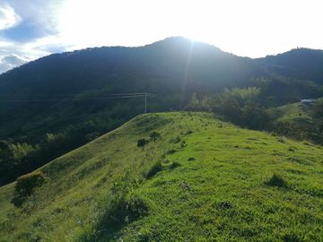 Venta Finca Ganadera Cocorná Antioquia