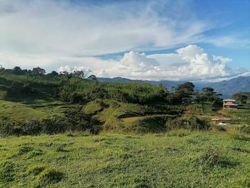 Venta Finca Ganadera Cocorná Antioquia