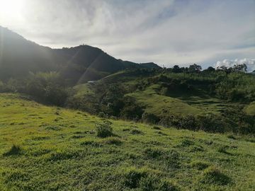 Venta Finca Ganadera Cocorná Antioquia