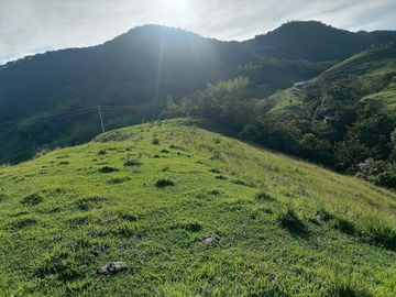 Venta Finca Ganadera Cocorná Antioquia