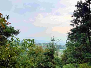 Dijual Tanah Komplek Hutan Pinus Kemuning Karanganyar
