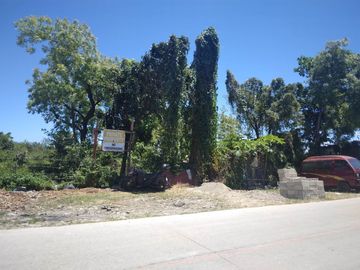 8,800 sq.m. prime commercial lot for sale  in Marigondon @ P12k/sq.m.