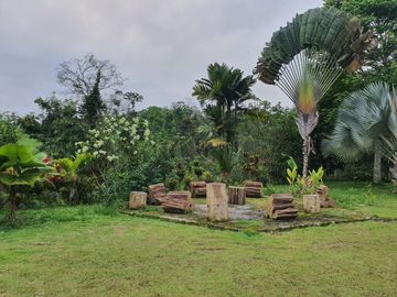 Venta finca de 40 Hectáreas