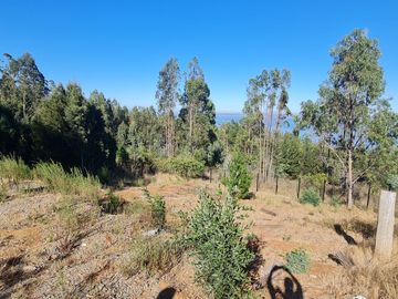 Amplio sitio a minutos de Concepción