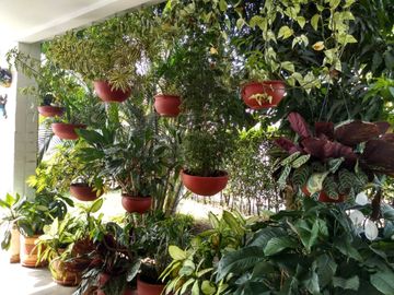 VENDO CASA EN LA MORADA A LAS AFUERAS DE CALI VALLE DEL CAUCA