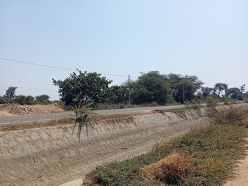 Terreno ideal para agroindustria