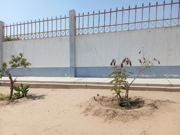 Terreno ideal para agroindustria