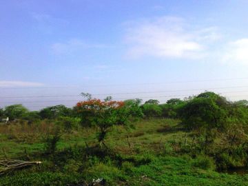 Vendo terreno industrial pie de via Duran Tambo 55000m2 Alto Impacto