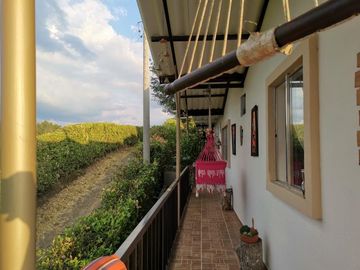 VENDO HERMOSA CASA CAMPESTRE EN LA VIA MORELIA ALCALA