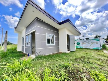 GOLDEN PALM SUBDIVISION - ECONOMIC ALEXIS