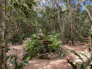 Terrenos en venta rodeados de naturaleza con Museo y Hotel en Valladolid, Yucatán