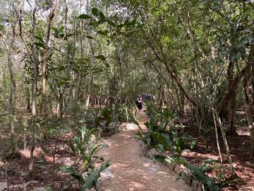 Terrenos en venta rodeados de naturaleza con Museo y Hotel en Valladolid, Yucatán